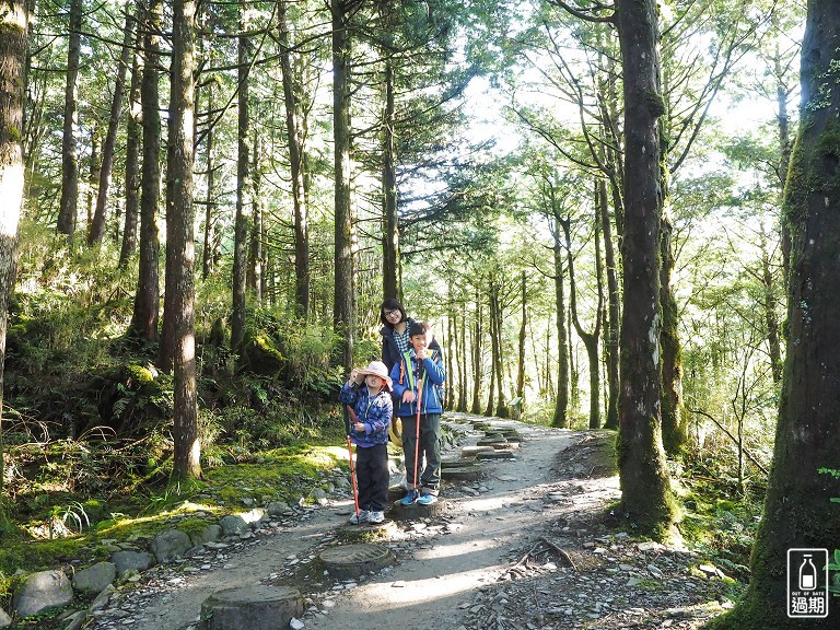 山毛櫸國家步道