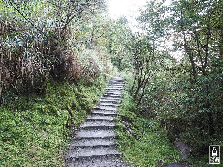 山毛櫸國家步道