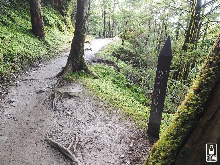 山毛櫸國家步道