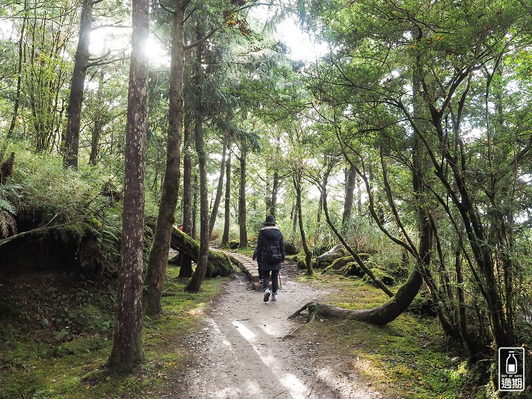 山毛櫸國家步道