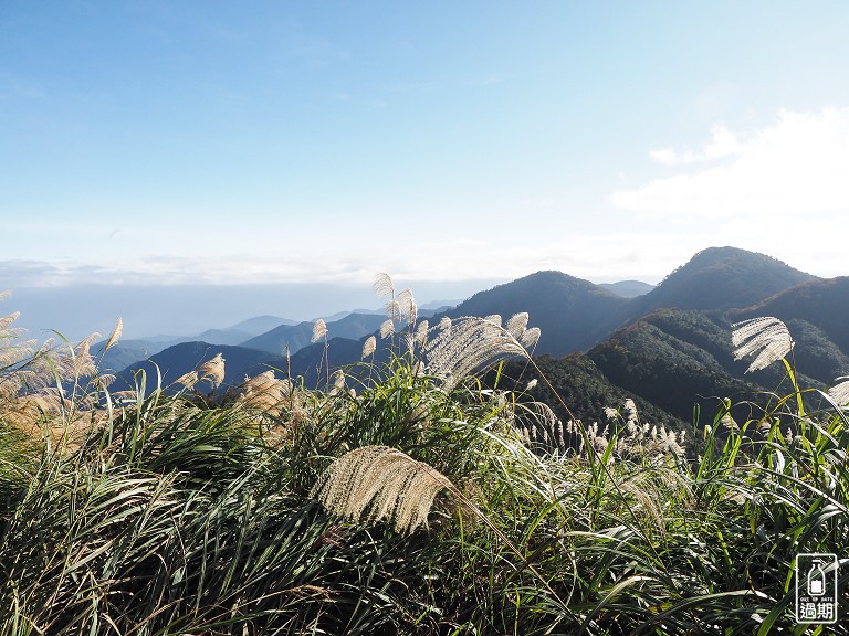 山毛櫸國家步道