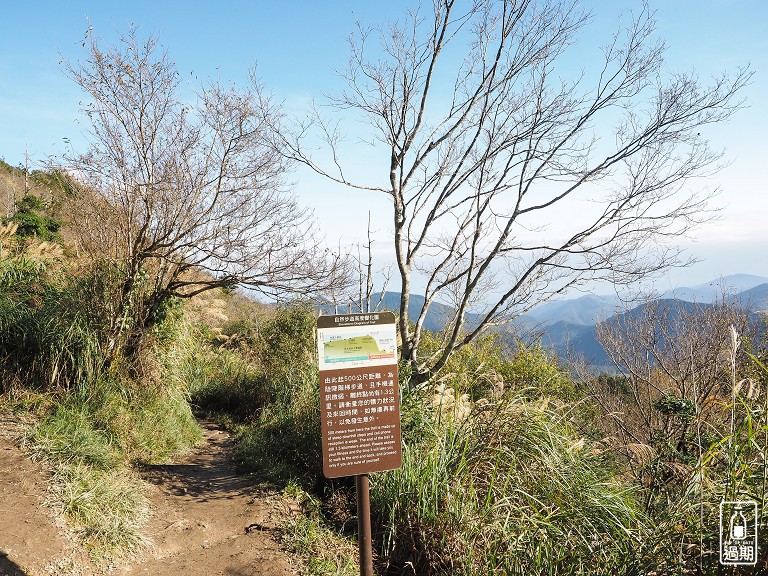 山毛櫸國家步道