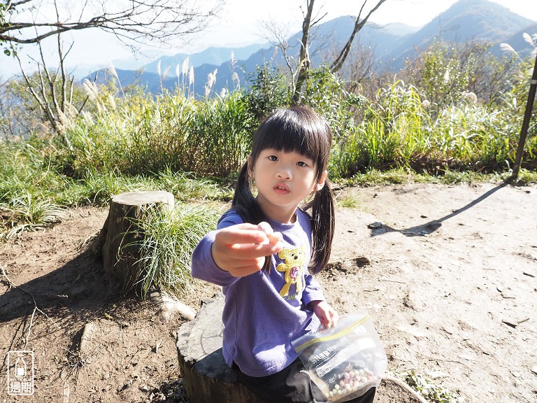 山毛櫸國家步道