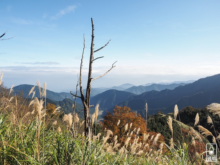 山毛櫸國家步道