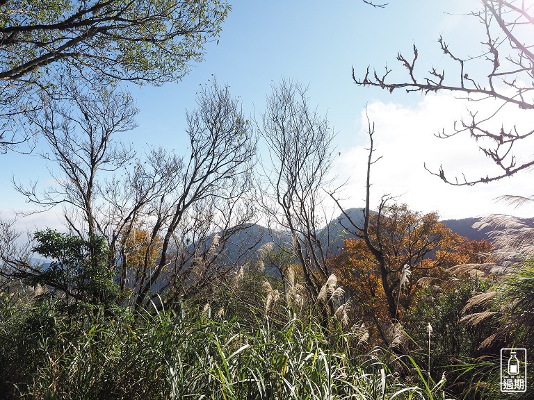 山毛櫸國家步道