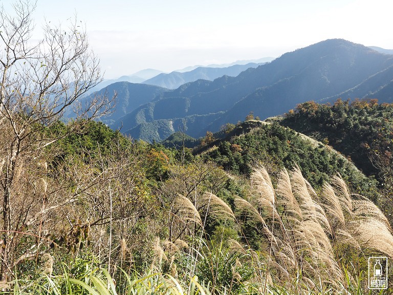 山毛櫸國家步道