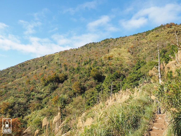 山毛櫸國家步道