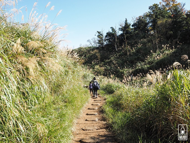 山毛櫸國家步道