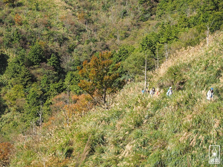 山毛櫸國家步道