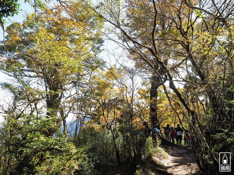 山毛櫸國家步道