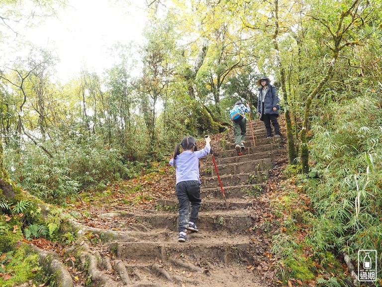 山毛櫸國家步道