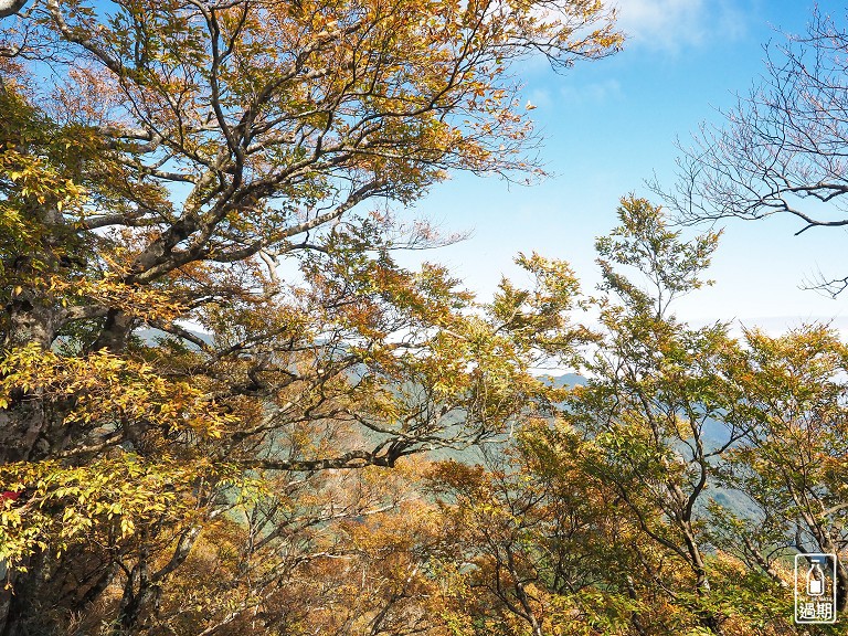 山毛櫸國家步道