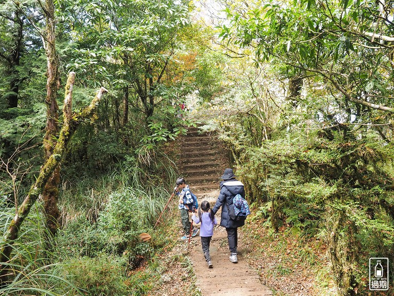 山毛櫸國家步道