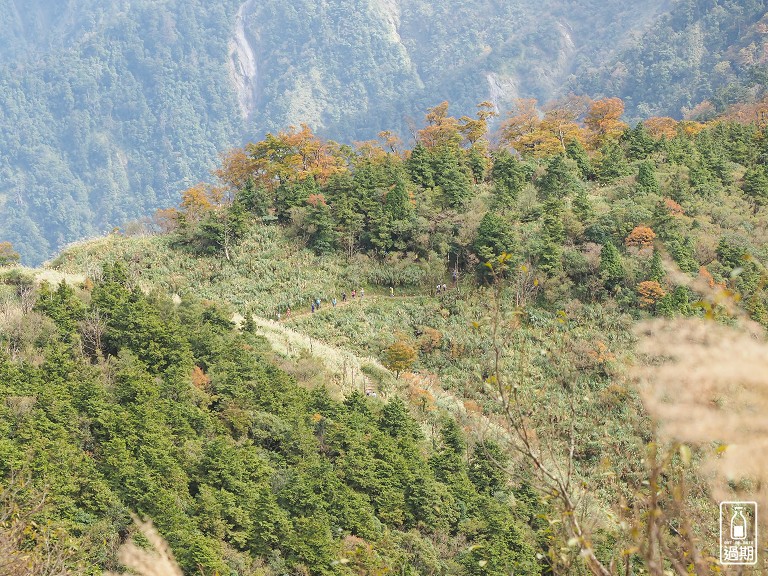 山毛櫸國家步道