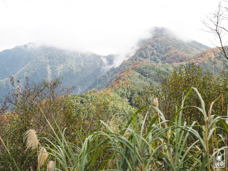 山毛櫸國家步道