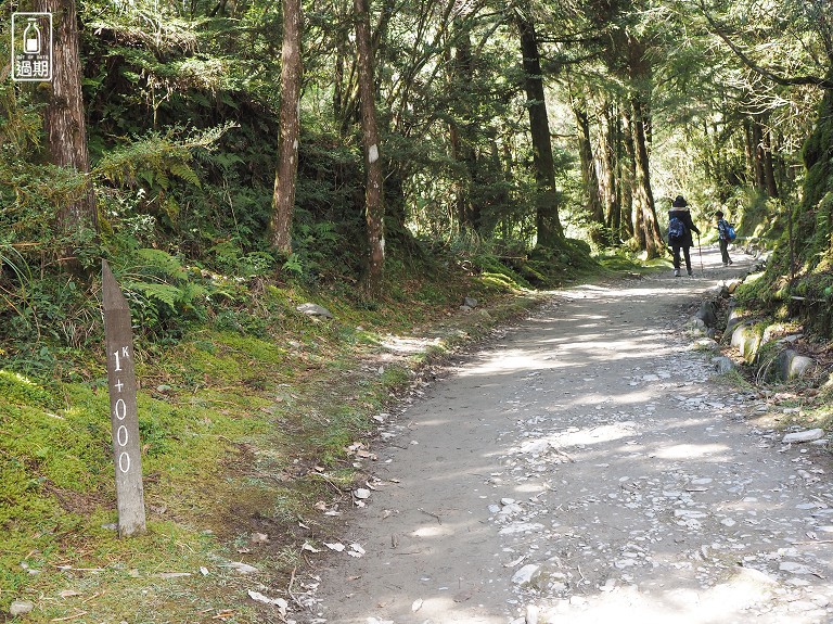 山毛櫸國家步道