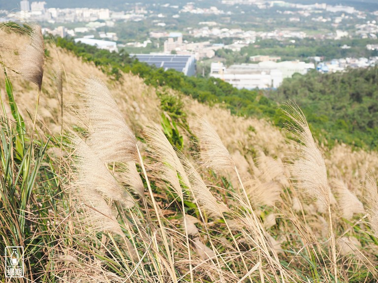 秀才登山步道