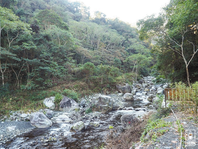 八仙山國家森林遊樂區