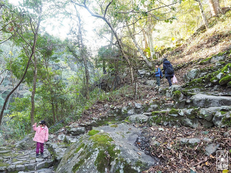 八仙山國家森林遊樂區