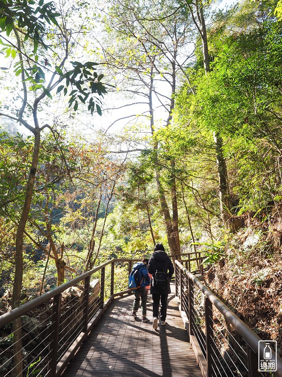 八仙山國家森林遊樂區