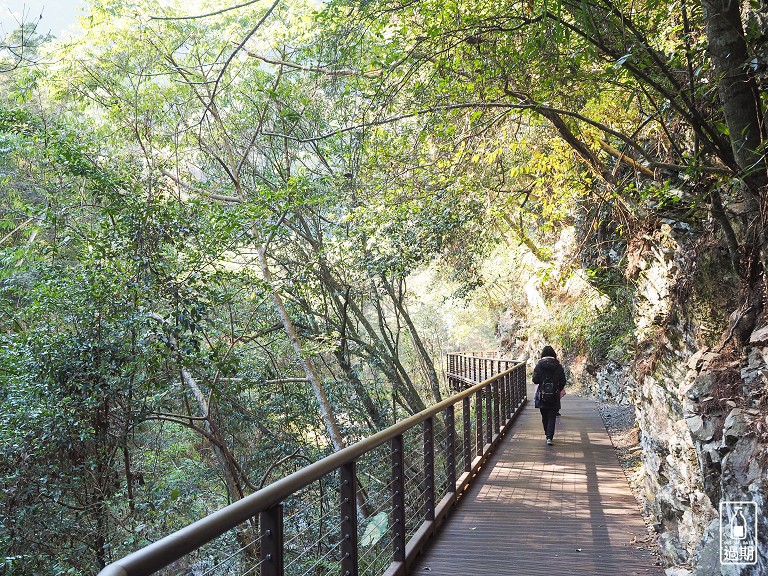 八仙山國家森林遊樂區