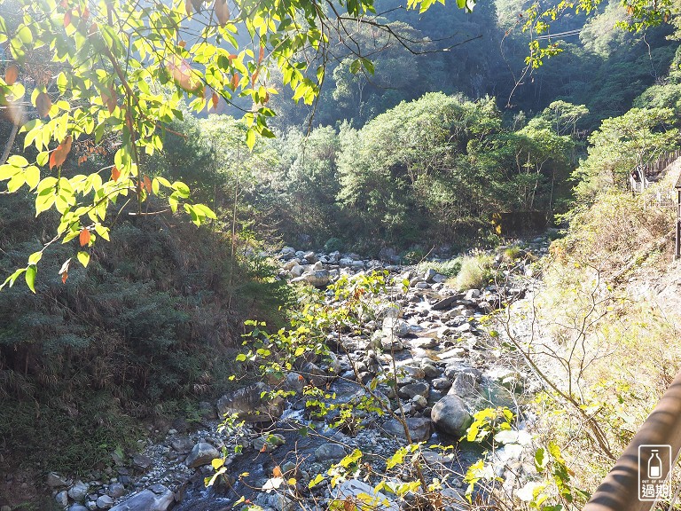 八仙山國家森林遊樂區