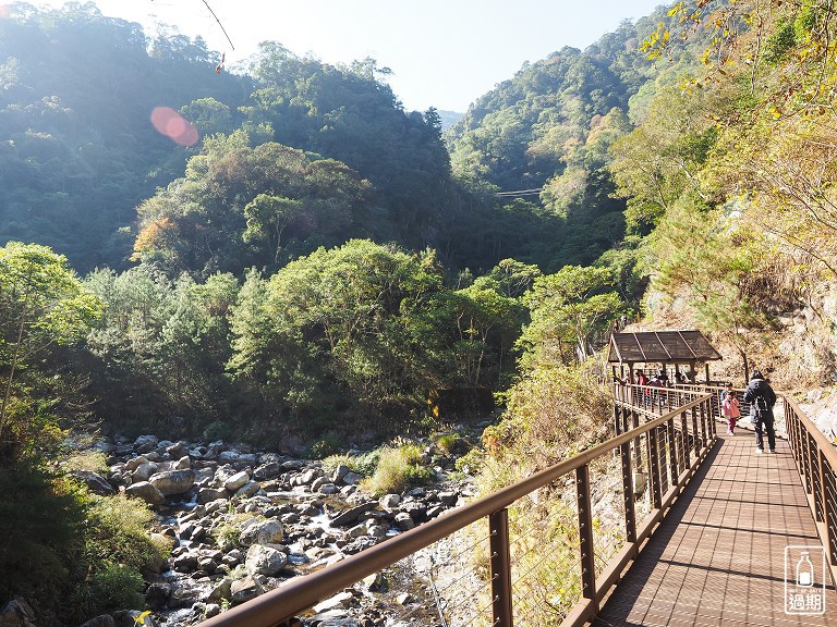 八仙山國家森林遊樂區