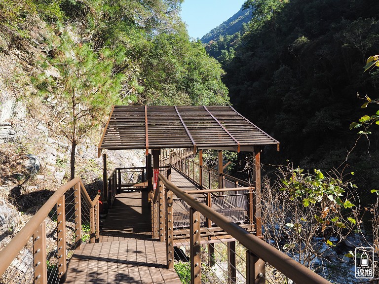 八仙山國家森林遊樂區