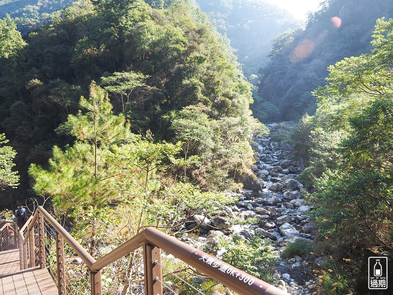 八仙山國家森林遊樂區