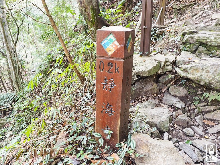 八仙山國家森林遊樂區