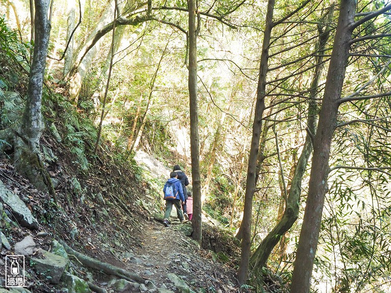 八仙山國家森林遊樂區