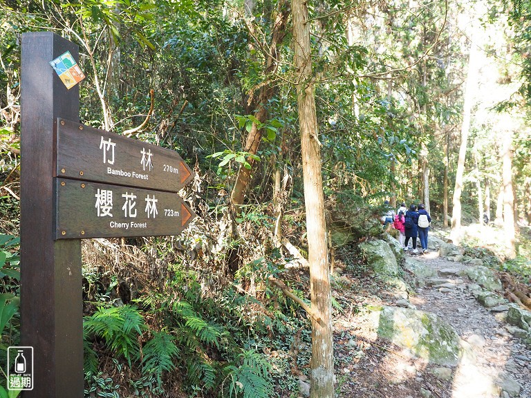 八仙山國家森林遊樂區