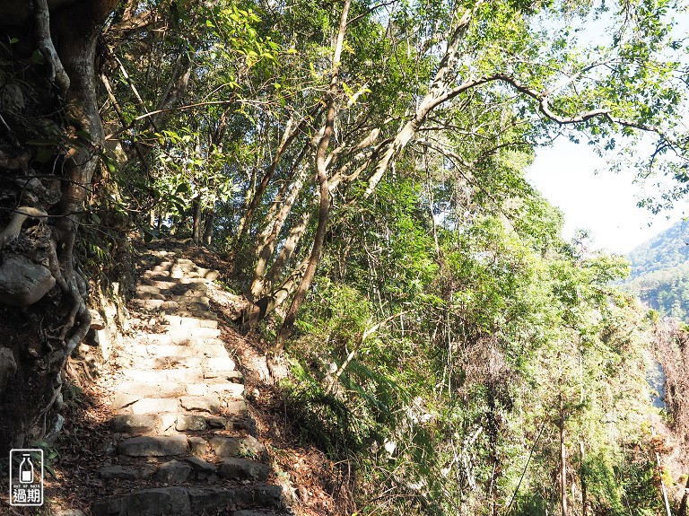 八仙山國家森林遊樂區