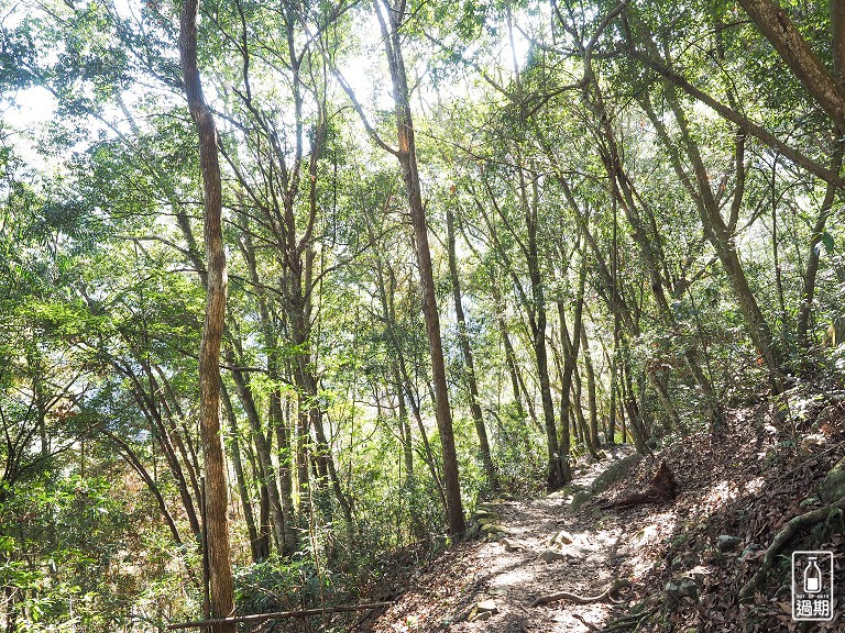 八仙山國家森林遊樂區