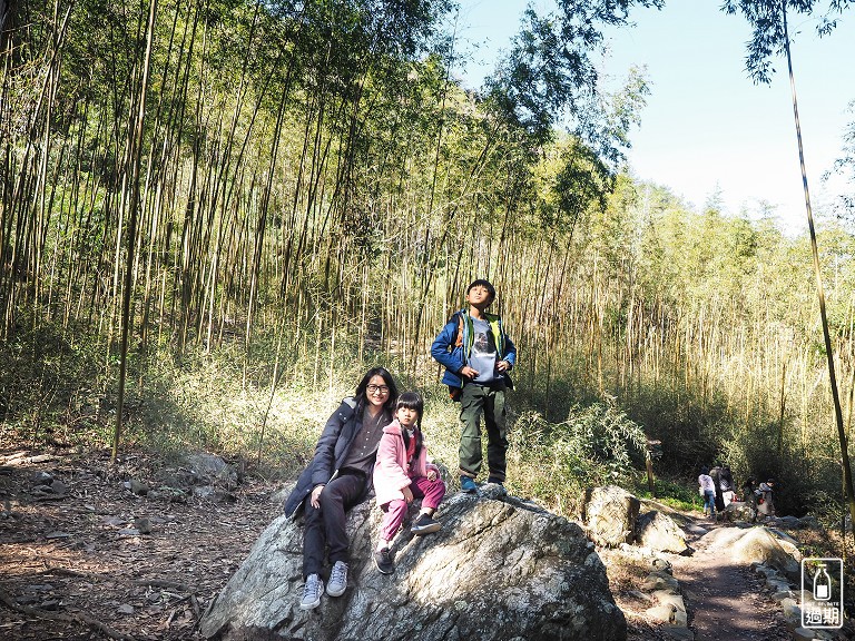 八仙山國家森林遊樂區