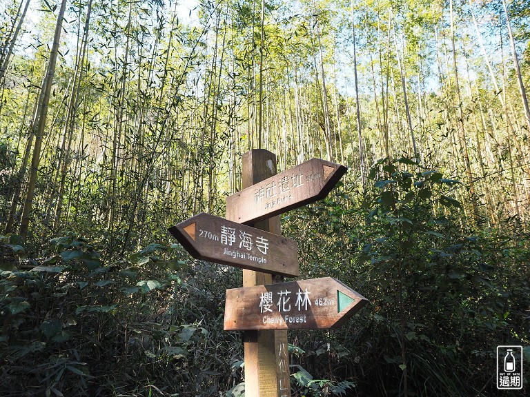 八仙山國家森林遊樂區