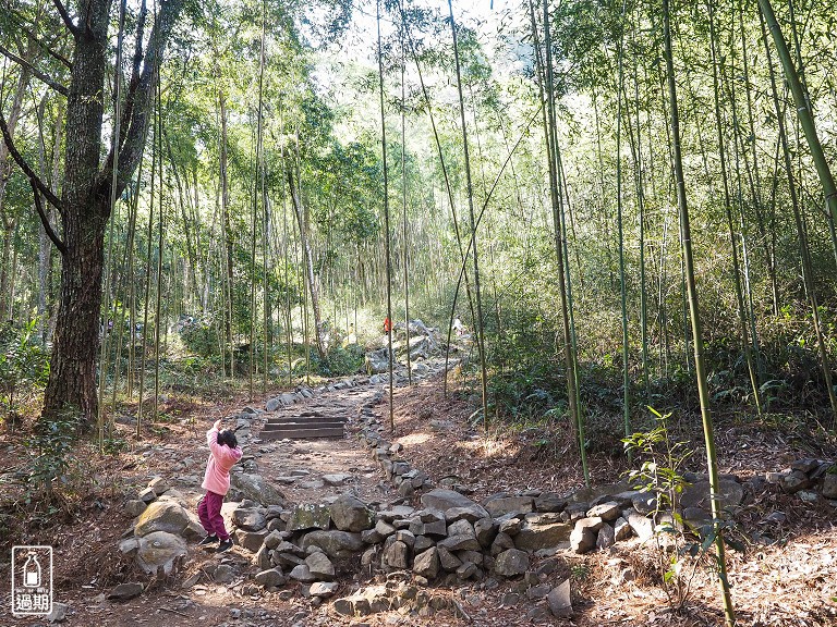 八仙山國家森林遊樂區