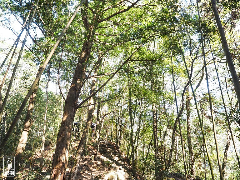 八仙山國家森林遊樂區