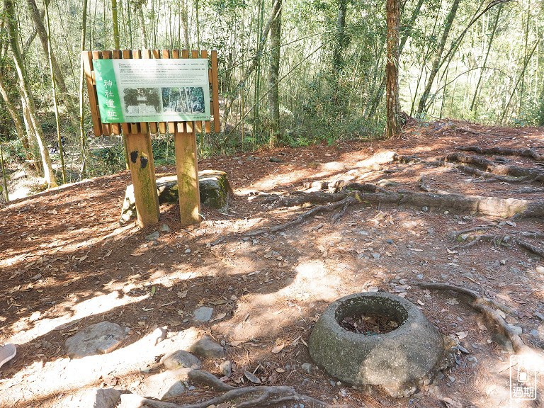 八仙山國家森林遊樂區