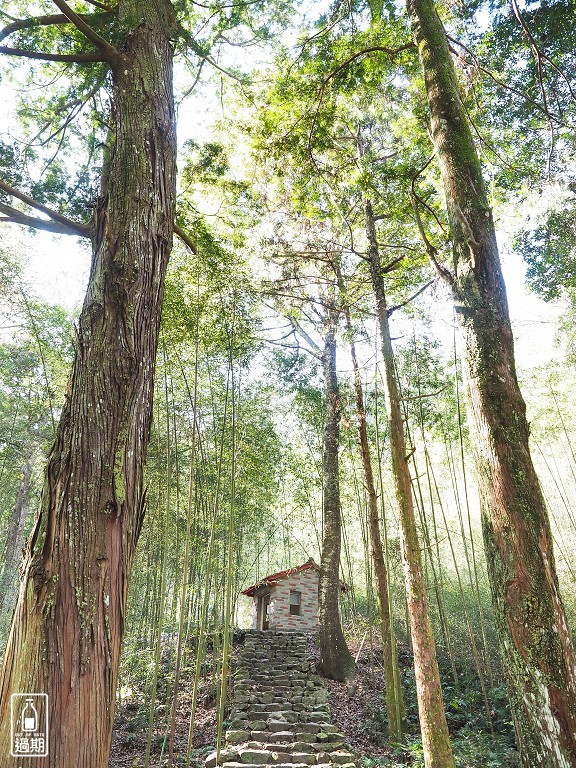 八仙山國家森林遊樂區