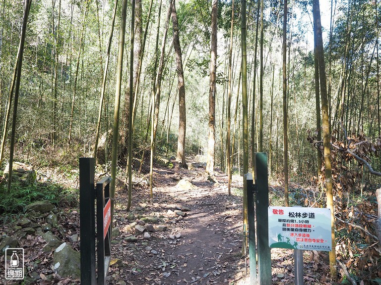 八仙山國家森林遊樂區