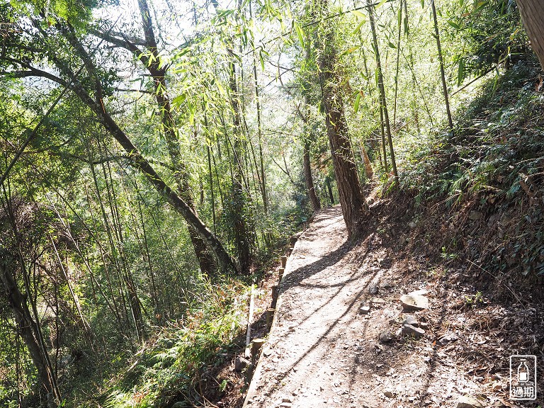 八仙山國家森林遊樂區