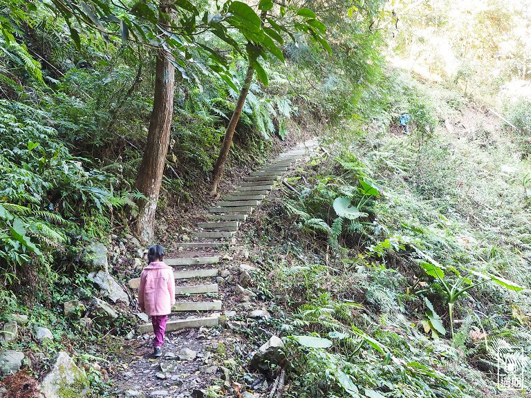 八仙山國家森林遊樂區