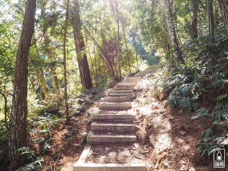 八仙山國家森林遊樂區