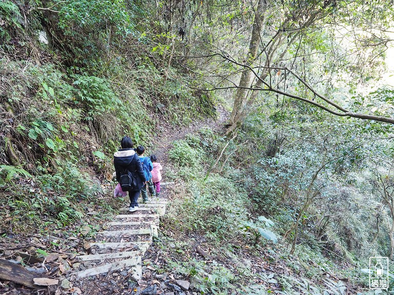 八仙山國家森林遊樂區