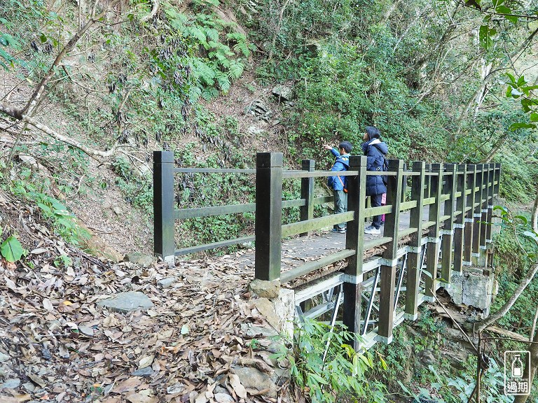 八仙山國家森林遊樂區