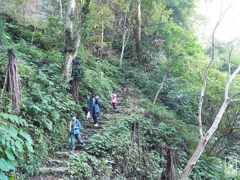 八仙山國家森林遊樂區