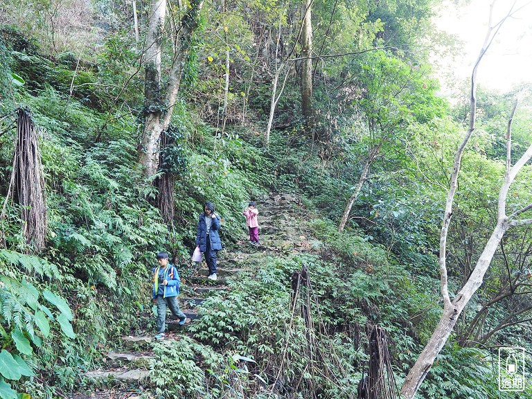 八仙山國家森林遊樂區