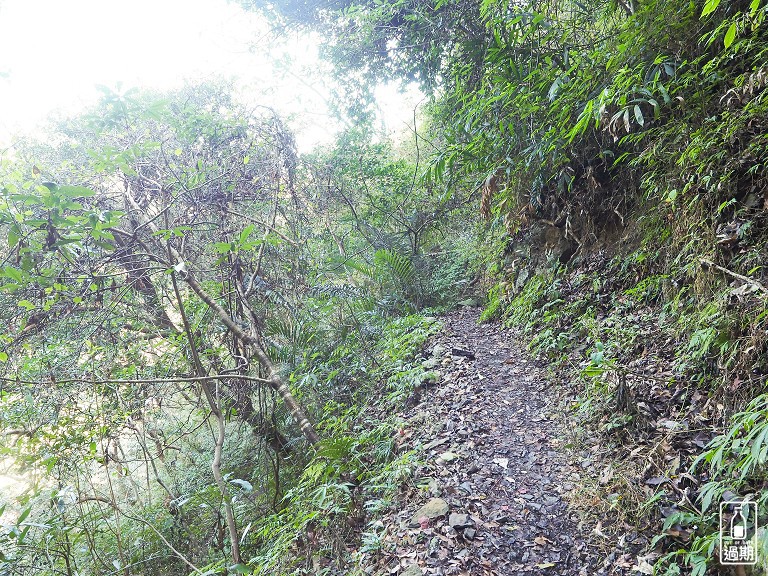 八仙山國家森林遊樂區