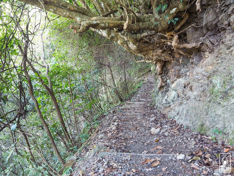 八仙山國家森林遊樂區